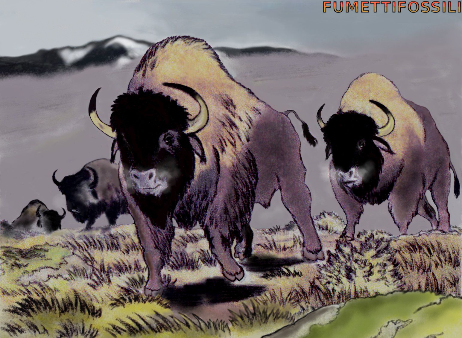 IL BISONTE DELLA STEPPA: Quando l'era glaciale giunse a Monte di Malo ...